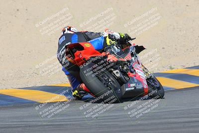 media/Feb-04-2023-SoCal Trackdays (Sat) [[8a776bf2c3]]/Turn 10 Backside (1010am)/